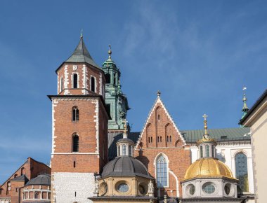 Wawel Katedrali - Krakow, Polonya