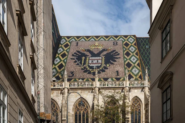 聖シュテファン大聖堂 シュテファンダム の屋根 ウィーン オーストリア — ストック写真