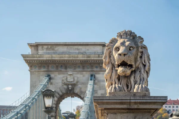 Löwenskulptur Auf Der Szechenyi Kettenbrücke Budapest Ungarn — Stockfoto