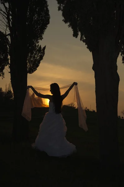 Beautiful bride standing at sunset — Stock Photo, Image