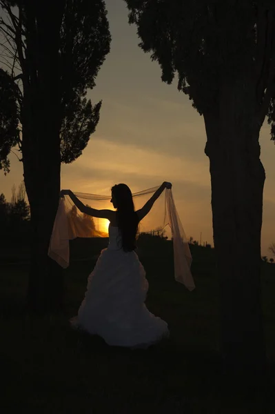 Belle mariée debout au coucher du soleil Images De Stock Libres De Droits