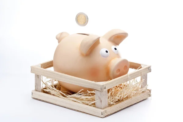 Insert Coin in Piggy Bank — Stock Photo, Image