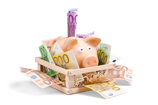 Rich Piggy Bank — Stock Photo, Image
