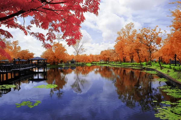 Infrared landscape — Stock Photo, Image