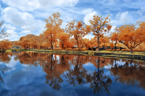 Infrared landscape — Stock Photo, Image