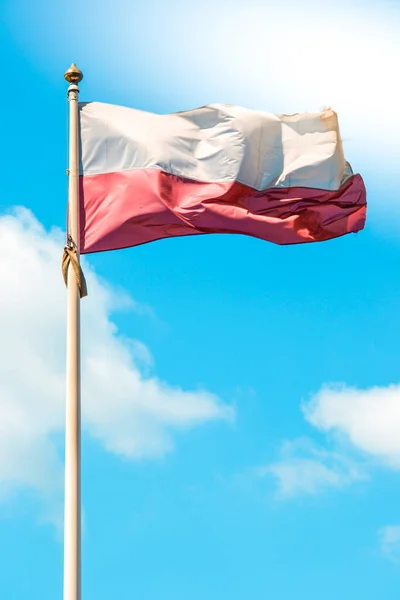 波兰的国旗 — 图库照片
