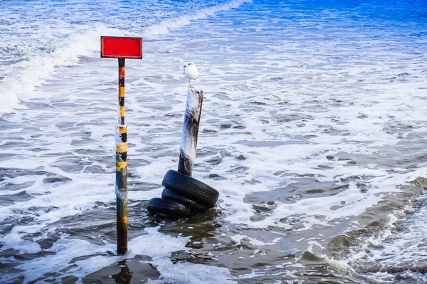 Seagull Sitting Post Waves Seaside — Fotografia de Stock