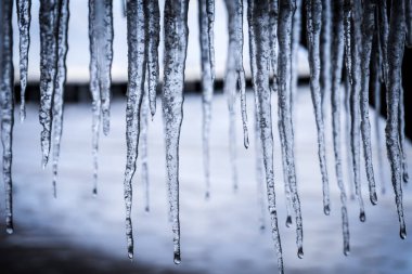Sarkık buz saçakları - don, kış konsepti