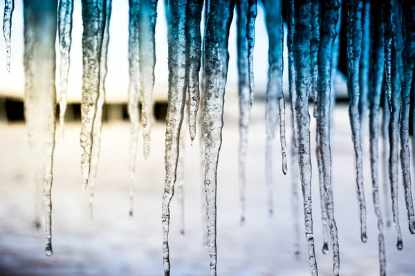 Hanging Icicles Frost Winter Concept — Stock Fotó