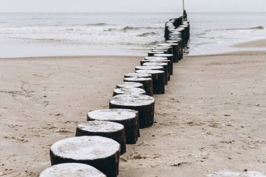 Denizin üzerindeki ahşap ahşap ağaç.