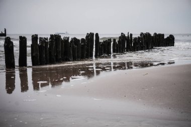 Yaşlı Groyne sahilde