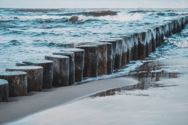 Denizin üzerindeki ahşap ahşap ağaç.