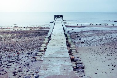 Denize, sahile bakan bir arkadaş.