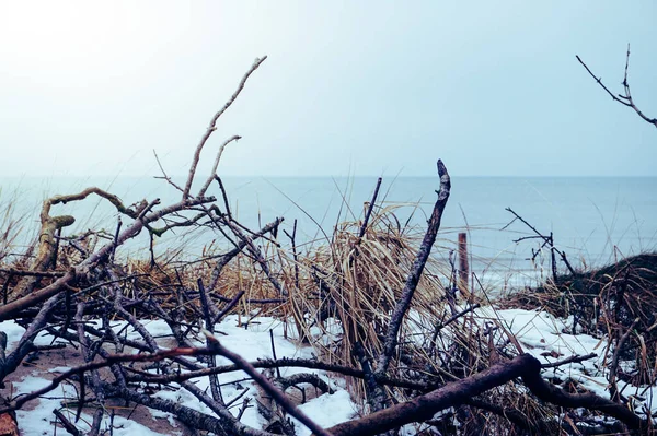 Snow Beach Dunes Winter Time — ストック写真