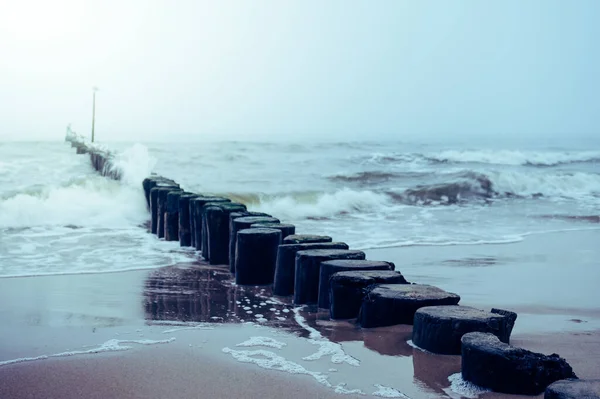波が海岸で木立を打つ — ストック写真