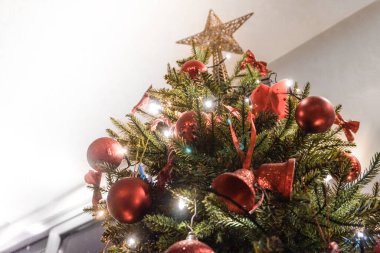 Üzerinde yıldız olan Noel ağacı.