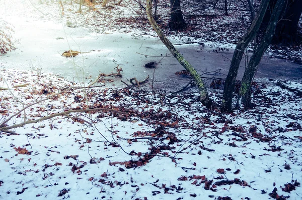 冬の凍る湿地 Kolobrzeg Podczele ポーランド — ストック写真