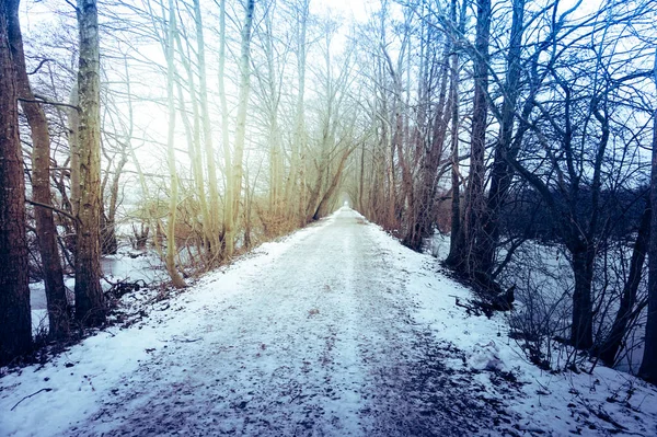 冬の凍結湿地の間の道路 Kolobrzeg Podczele ポーランド — ストック写真