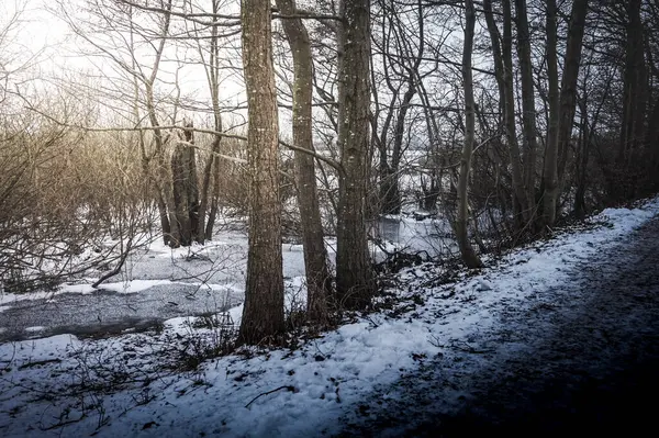 Дорога Замерзшее Болото Зимой Кребжег Подце Польша — стоковое фото