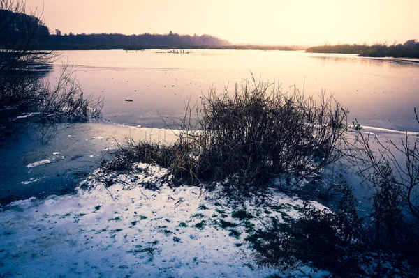 Pântano Congelado Inverno Kolobrzeg Podczele Polônia — Fotografia de Stock