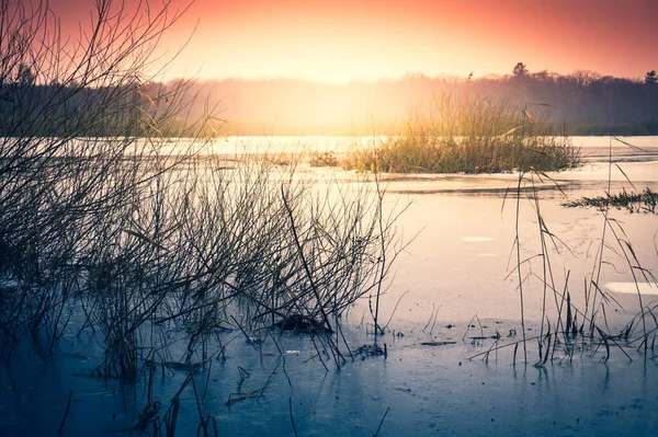 Pântano Congelado Inverno Kolobrzeg Podczele Polônia — Fotografia de Stock