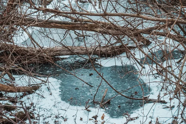 Frozen Swamp Winter Kolobrzeg Podczele Poland — Zdjęcie stockowe