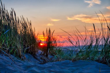 Kum tepelerinde sazlıklar - Baltık Denizi, Polonya
