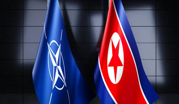Bandeiras Coreia Norte Otan Ilustração — Fotografia de Stock