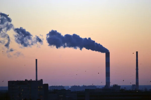 Smoke Coming Factory Chimney Sunset — Stock Photo, Image