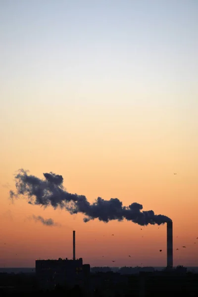 Rook Afkomstig Van Fabrieksschoorsteen Bij Zonsondergang — Stockfoto
