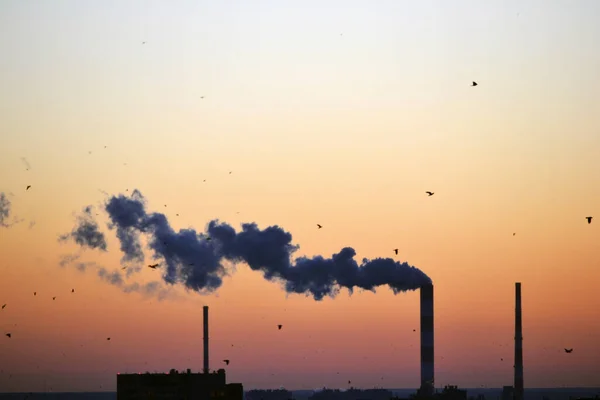 Rook Afkomstig Van Fabrieksschoorsteen Bij Zonsondergang — Stockfoto