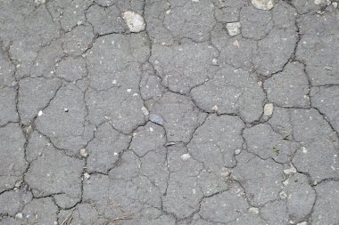 Çatlak toprak - kuraklık konsepti