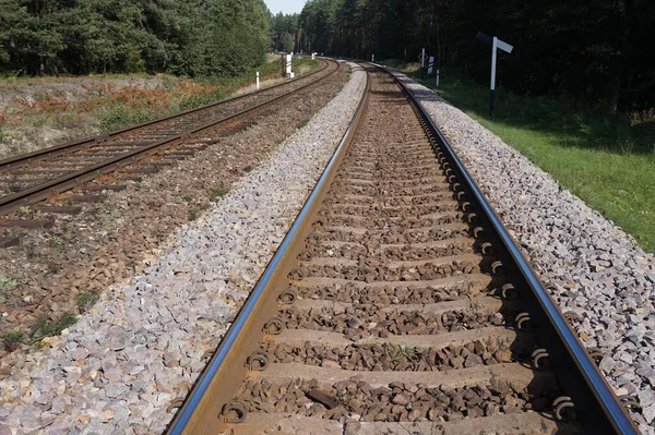 Treno Ferrovia Prospettiva — Foto Stock