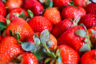 Bir sürü olgun çilek - yan görünüm