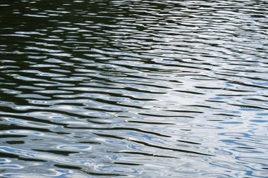 Ripples on water surface - sky reflection