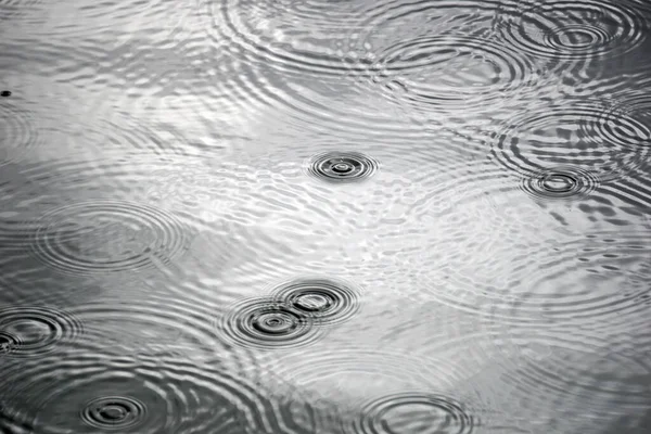 Drops Rain Water Surface — Φωτογραφία Αρχείου