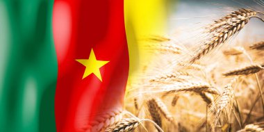 Kamerun - bayrak ve olgun çavdar tarlası - ekinler, mısır gevreği, hasat kavramı