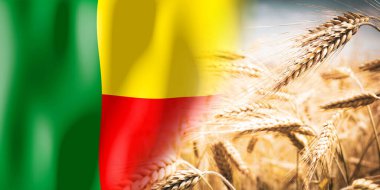 Benin - bayrak ve olgun çavdar tarlası - ekinler, tahıl, hasat kavramı
