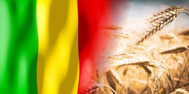 Mali - bayrak ve olgun çavdar tarlası - ekinler, tahıl, hasat kavramı