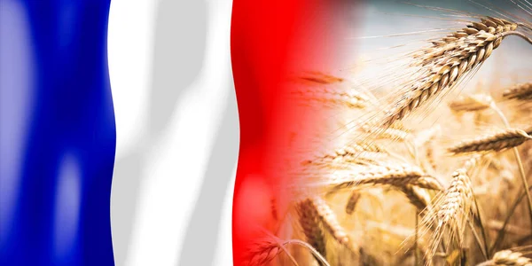 France Flag Ripe Rye Field Crops Cereal Harvest Concept — Φωτογραφία Αρχείου