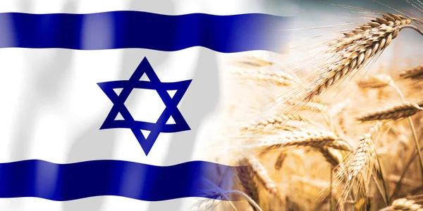 Israel Flag Ripe Rye Field Crops Cereal Harvest Concept — Stockfoto