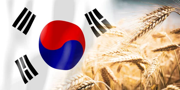 South Korea Flag Ripe Rye Field Crops Cereal Harvest Concept — ストック写真