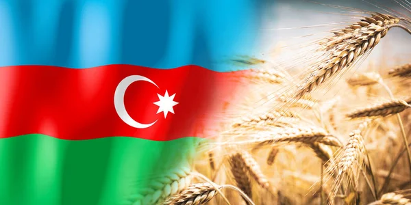 Azerbaijan Flag Ripe Rye Field Crops Cereal Harvest Concept — Stockfoto