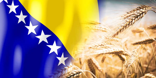 Bosnia Herzegovina Flag Ripe Rye Field Crops Cereal Harvest Concept — ストック写真