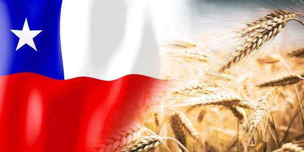 Chile Flag Ripe Rye Field Crops Cereal Harvest Concept — Stock fotografie