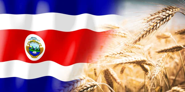 Costa Rica Flag Ripe Rye Field Crops Cereal Harvest Concept — Fotografia de Stock