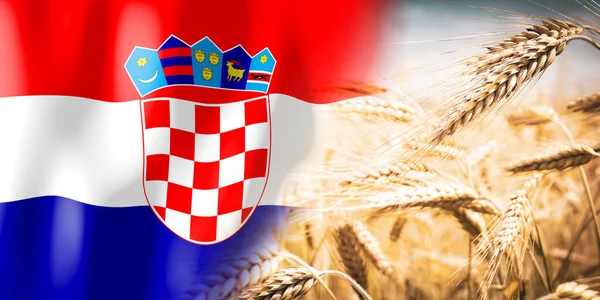Croatia Flag Ripe Rye Field Crops Cereal Harvest Concept — Stock fotografie