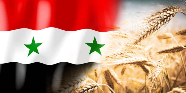 Syrien Flagge Und Reifes Roggenfeld Pflanzen Getreide Erntekonzept — Stockfoto
