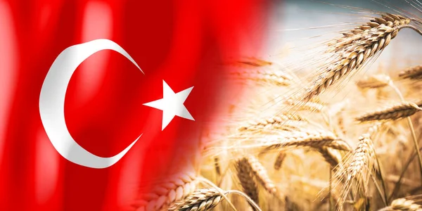 Turkey Flag Ripe Rye Field Crops Cereal Harvest Concept — Stok Foto