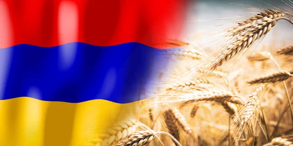 Armenia Flag Ripe Rye Field Crops Cereal Harvest Concept — Foto de Stock